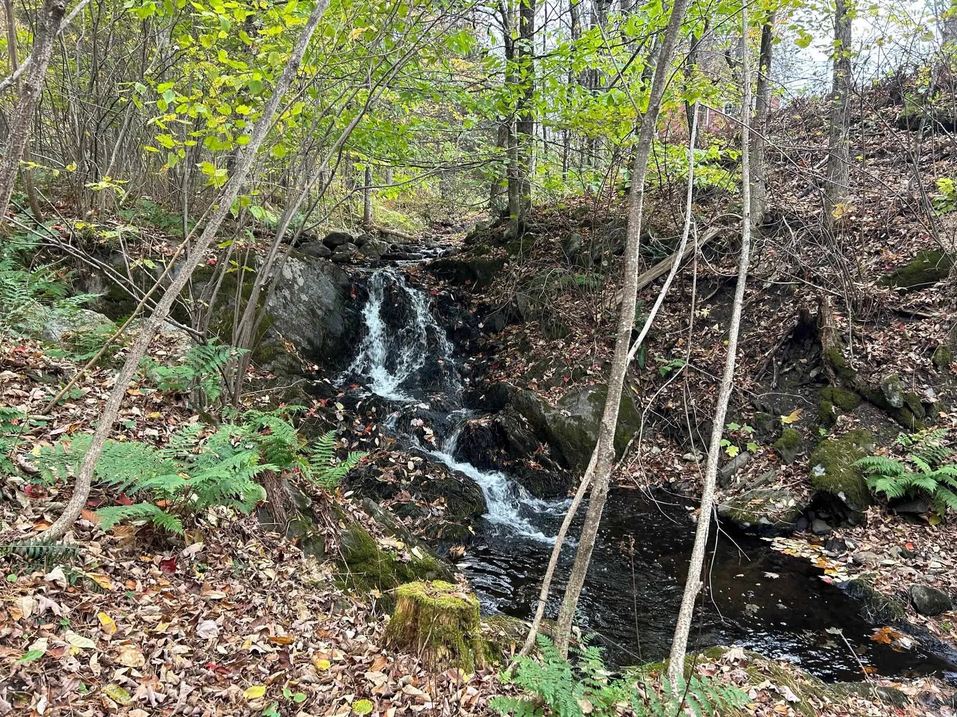 263 Witherspoon Road Ryegate VT 05042