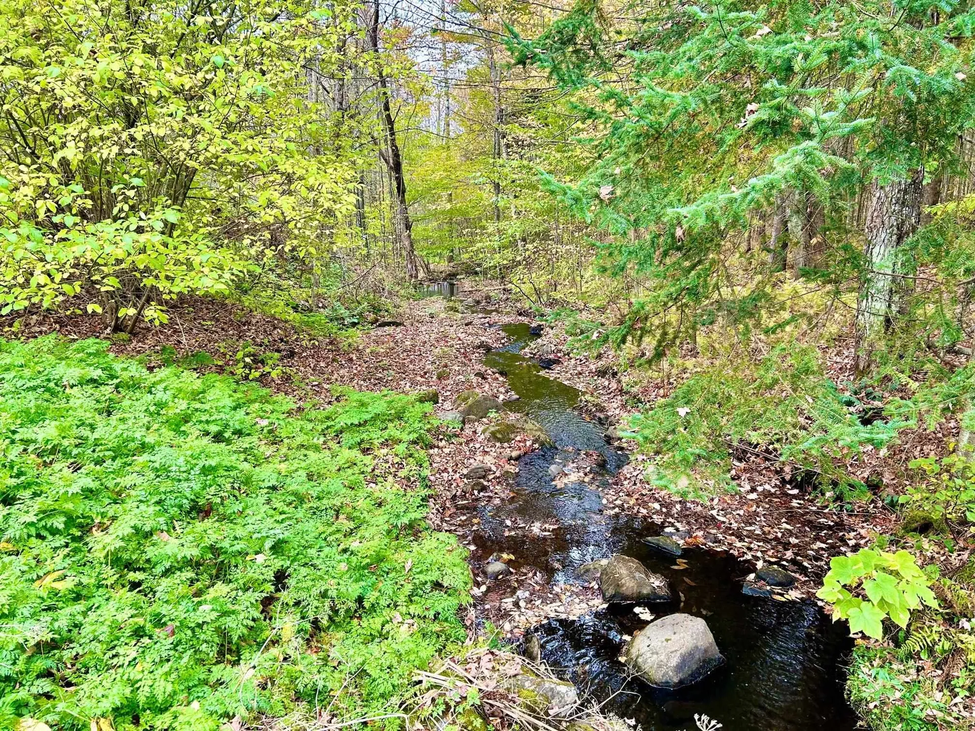 263 Witherspoon Road Ryegate VT 05042