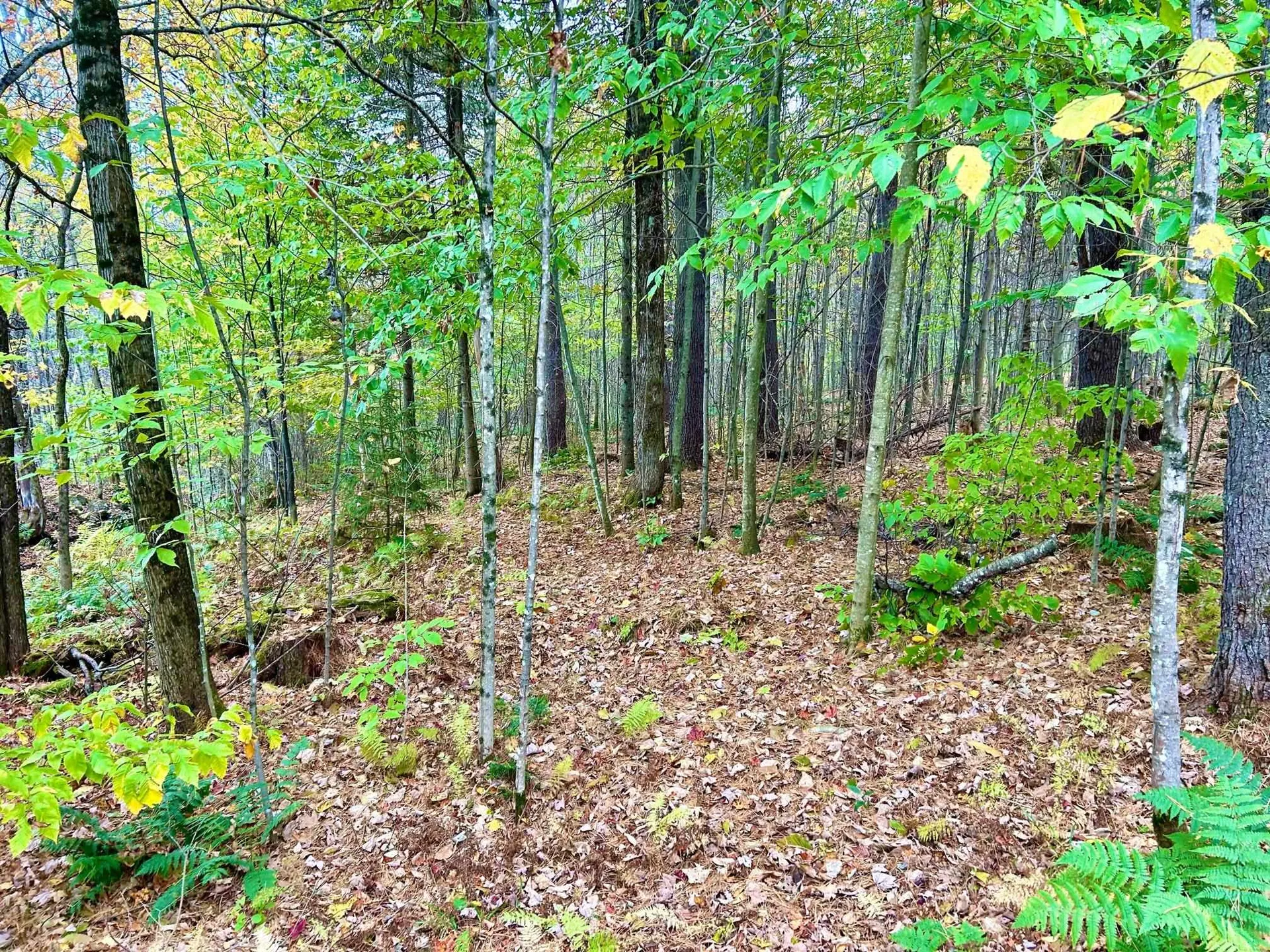 263 Witherspoon Road Ryegate VT 05042