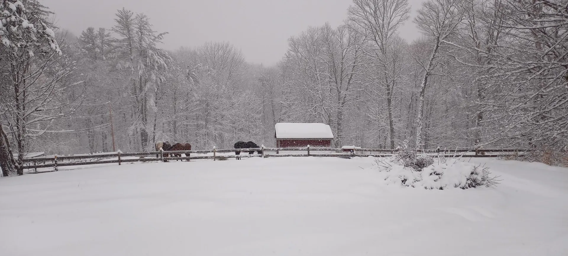 205 Densmore Hill Road Hartland VT 05089
