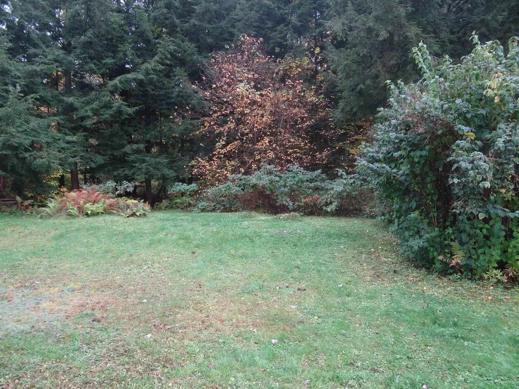 60 Starbird Road Jericho VT 05465