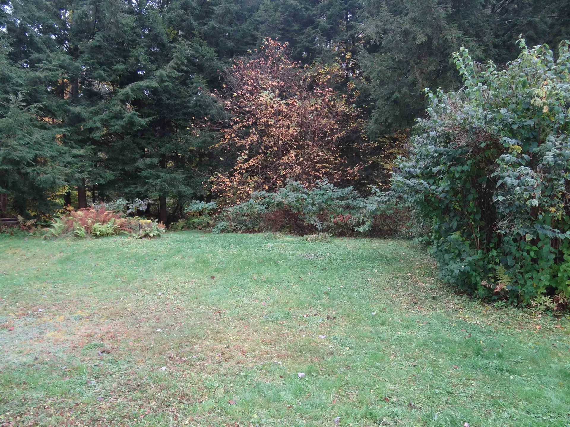 60 Starbird Road Jericho VT 05465