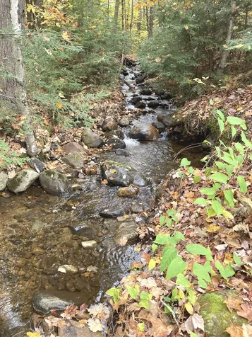 603 Hall Road Bristol NH 03222