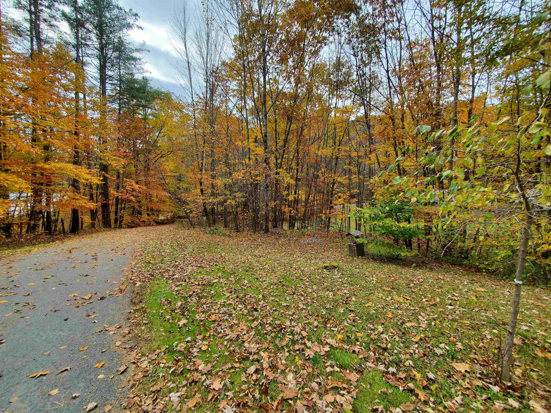 124 Moose Mountain Road Canaan NH 03741