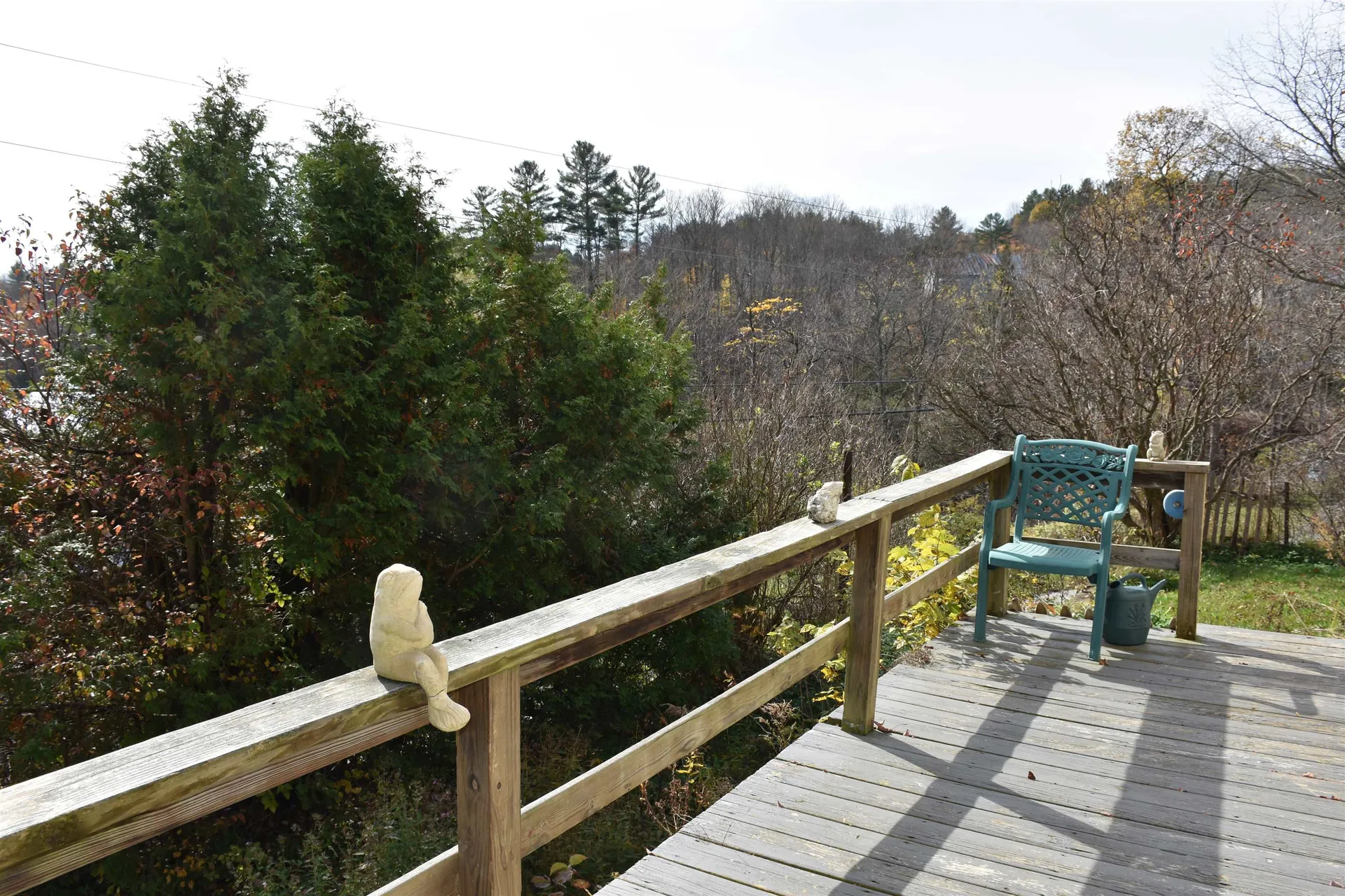 341 Maple Road Woodbury VT 05650-8188
