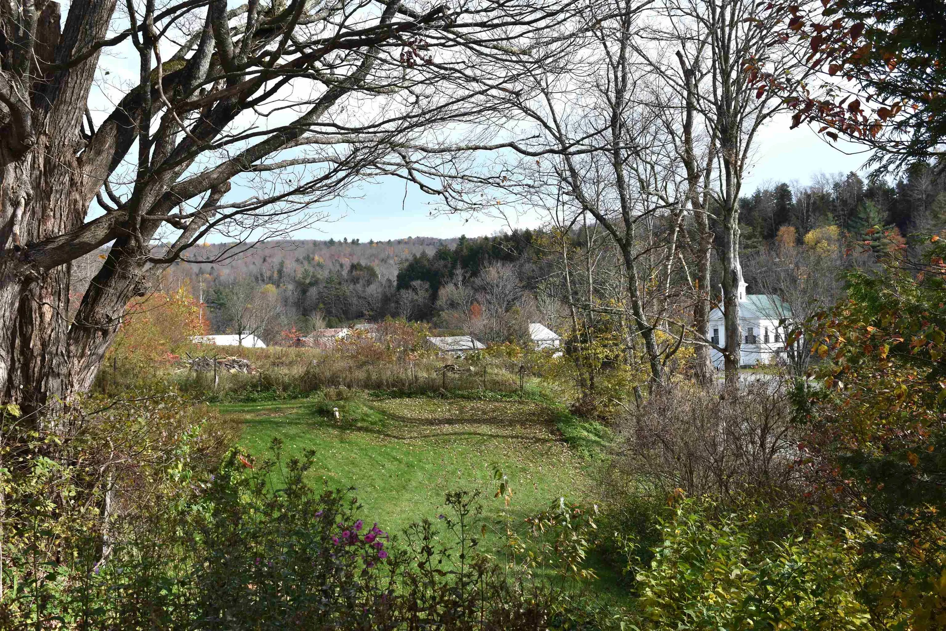 341 Maple Road Woodbury VT 05650-8188