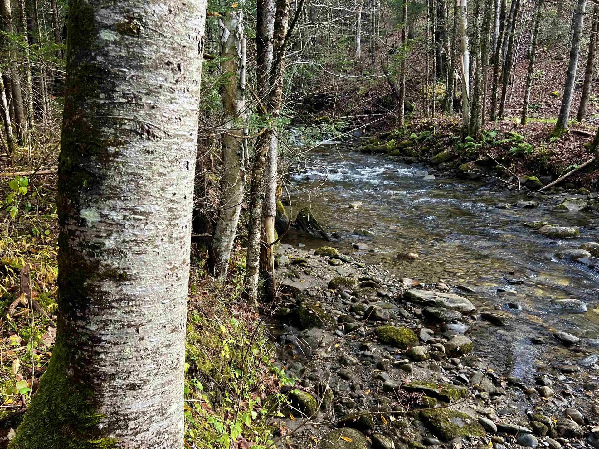 Lot B1 Mountain Road Burke VT 05871