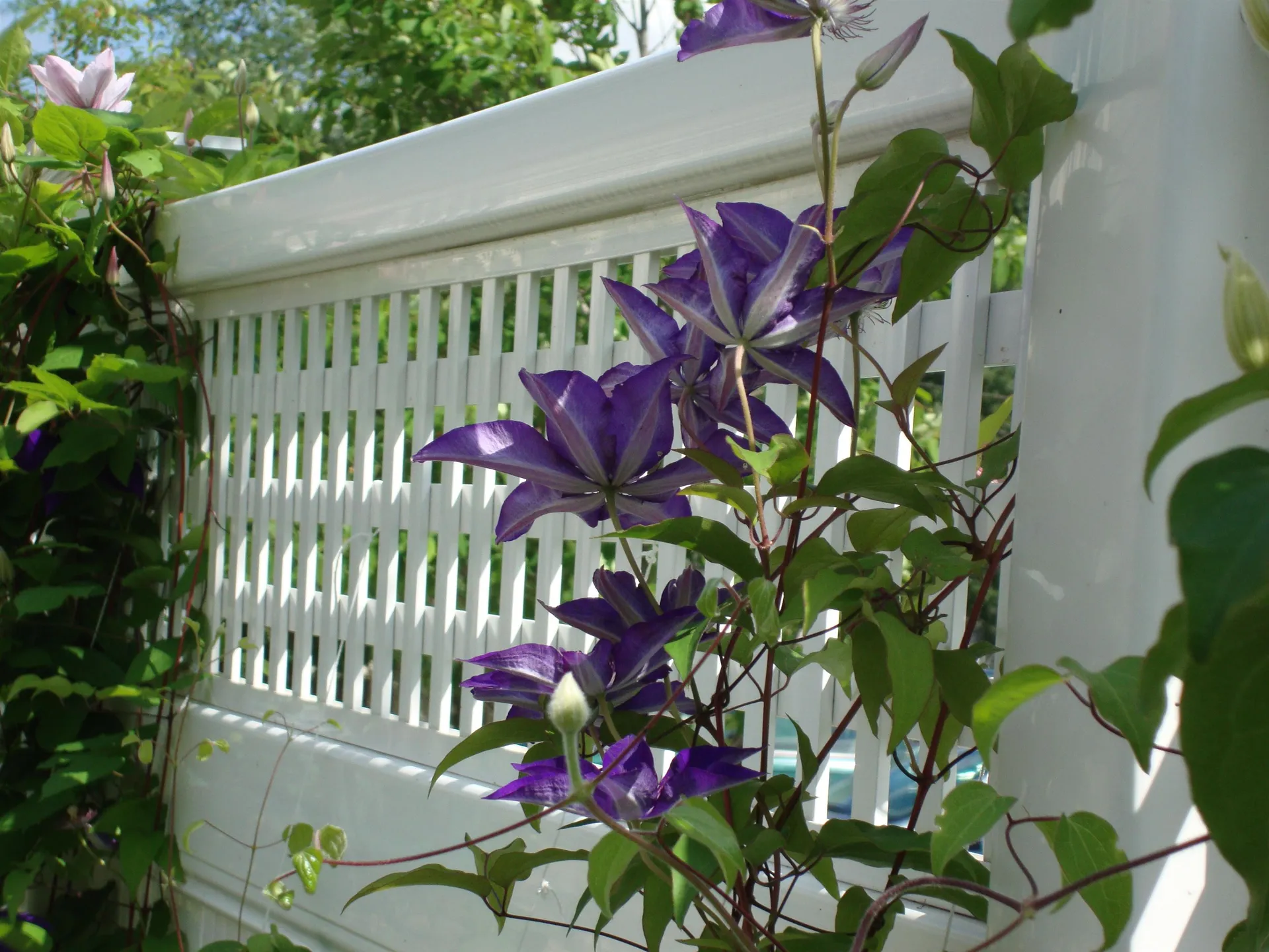 53 Lyme Road Hanover NH 03755