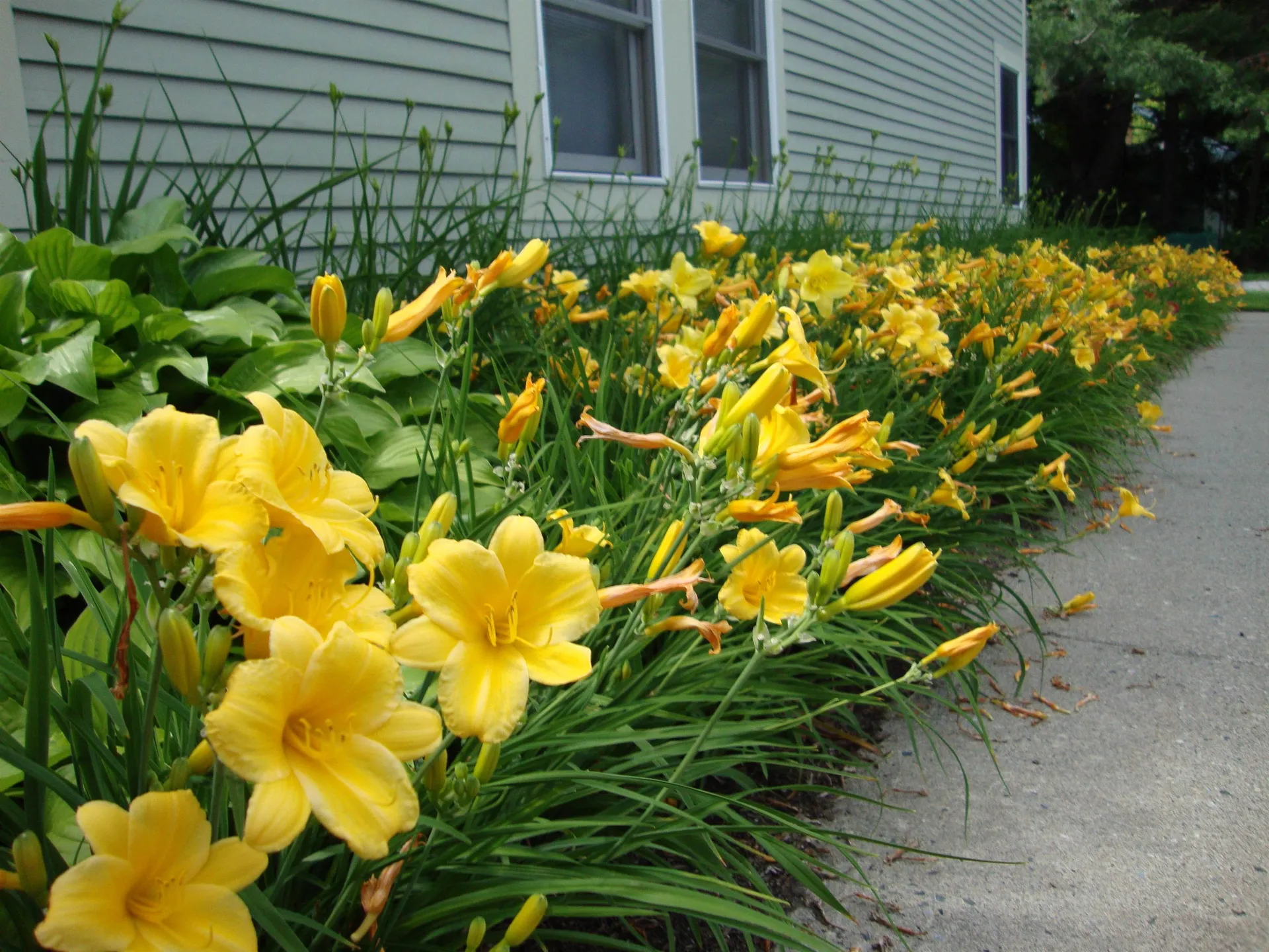 53 Lyme Road Hanover NH 03755