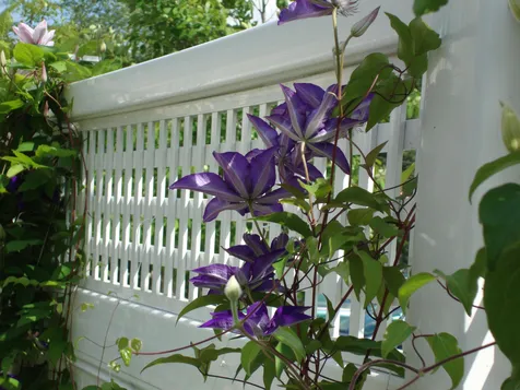 53 Lyme Road Hanover NH 03755