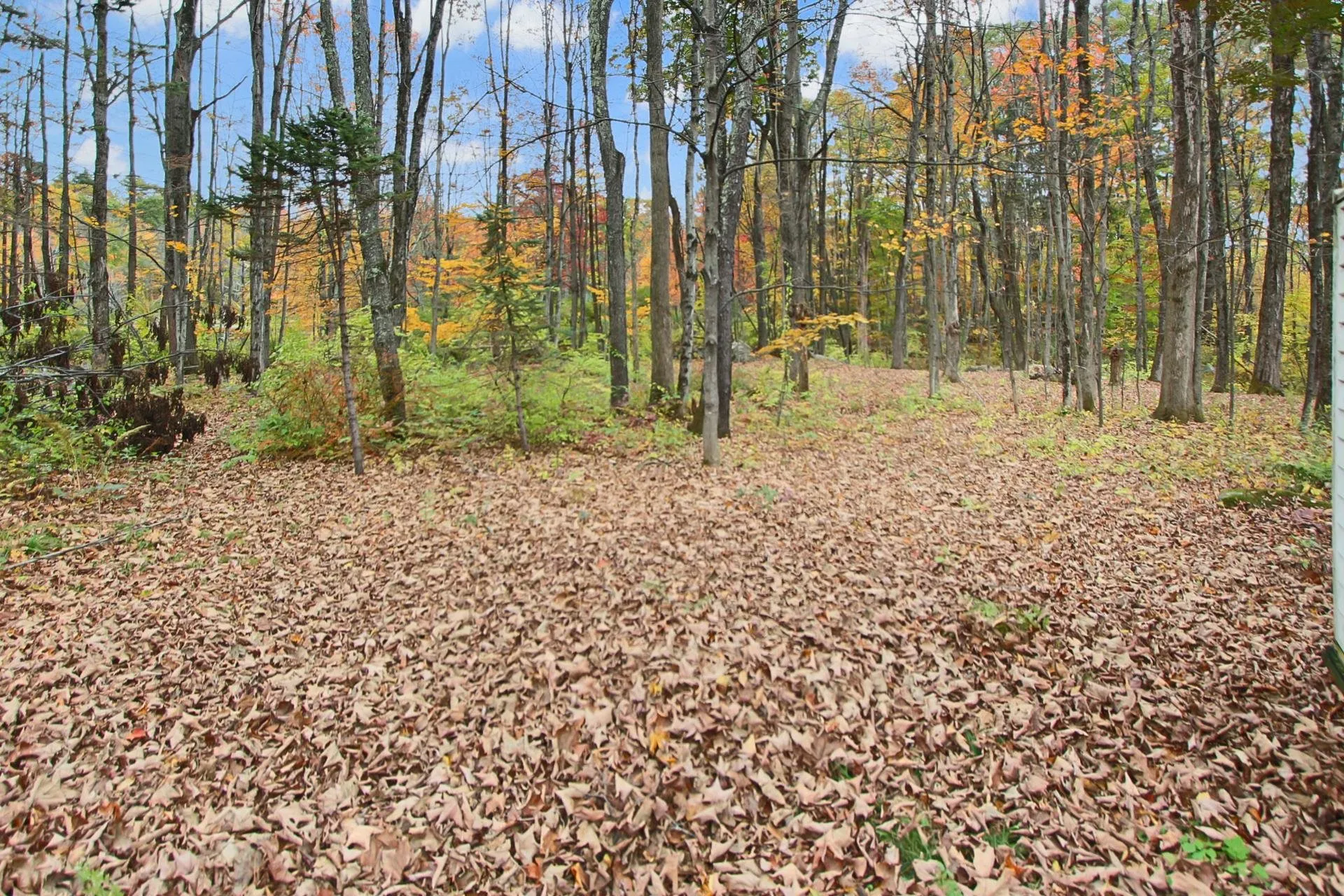 174 Pattee Hill Road Goffstown NH 03045