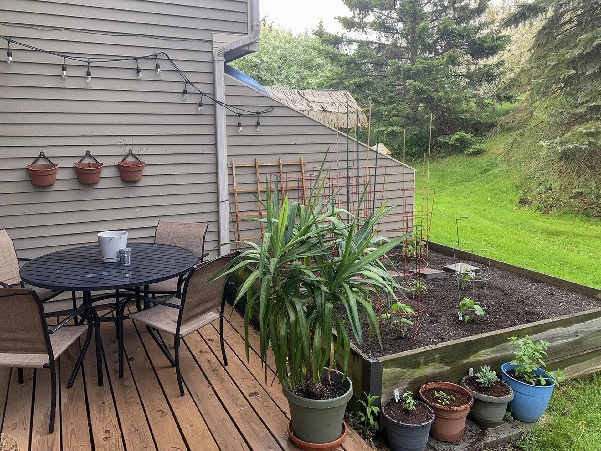 24 Overlook Drive South Burlington VT 05403