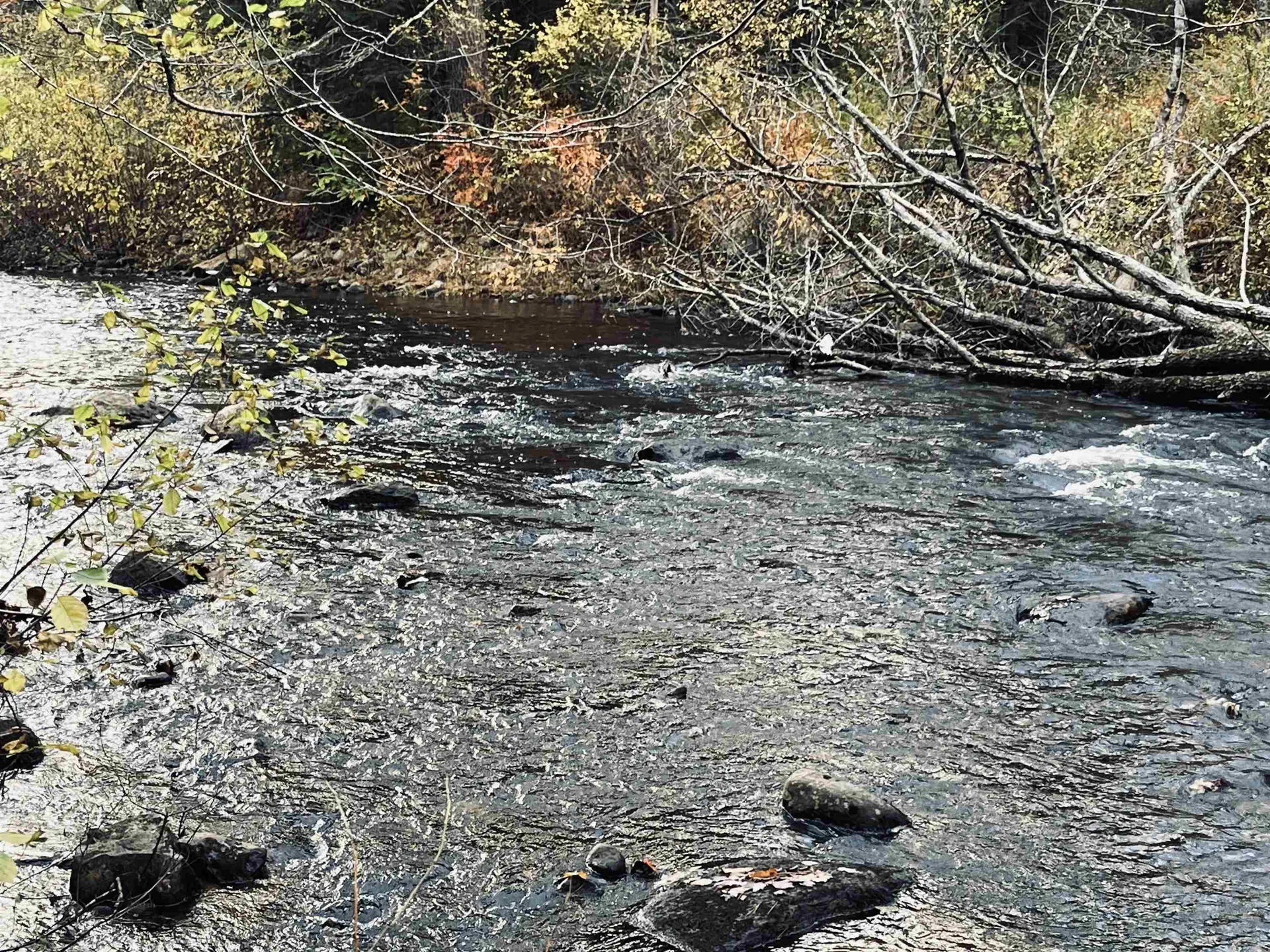 6 Beech River Circle Ossipee NH 03184