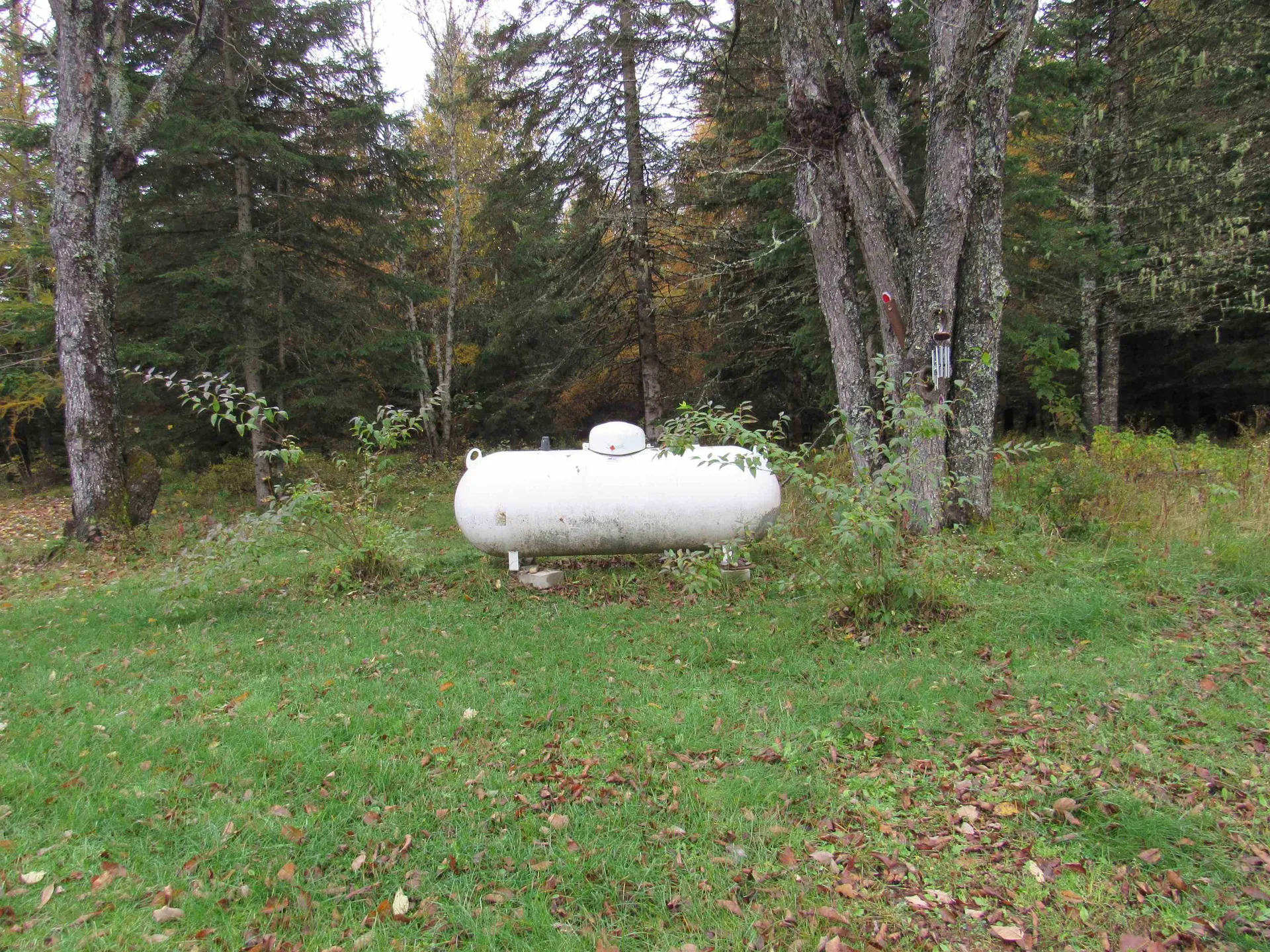 1265 Nh Route 16 Dummer NH 03588
