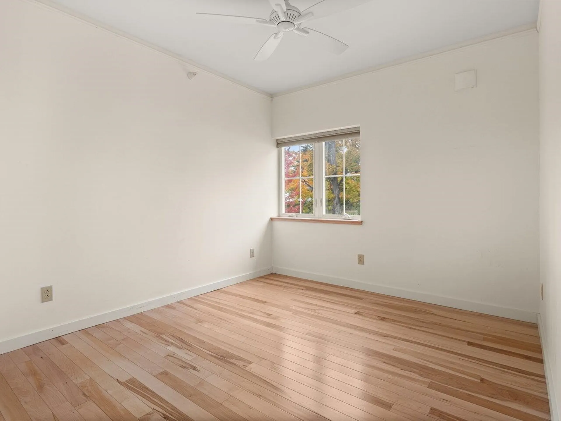 12 North Street Bristol VT 05443
