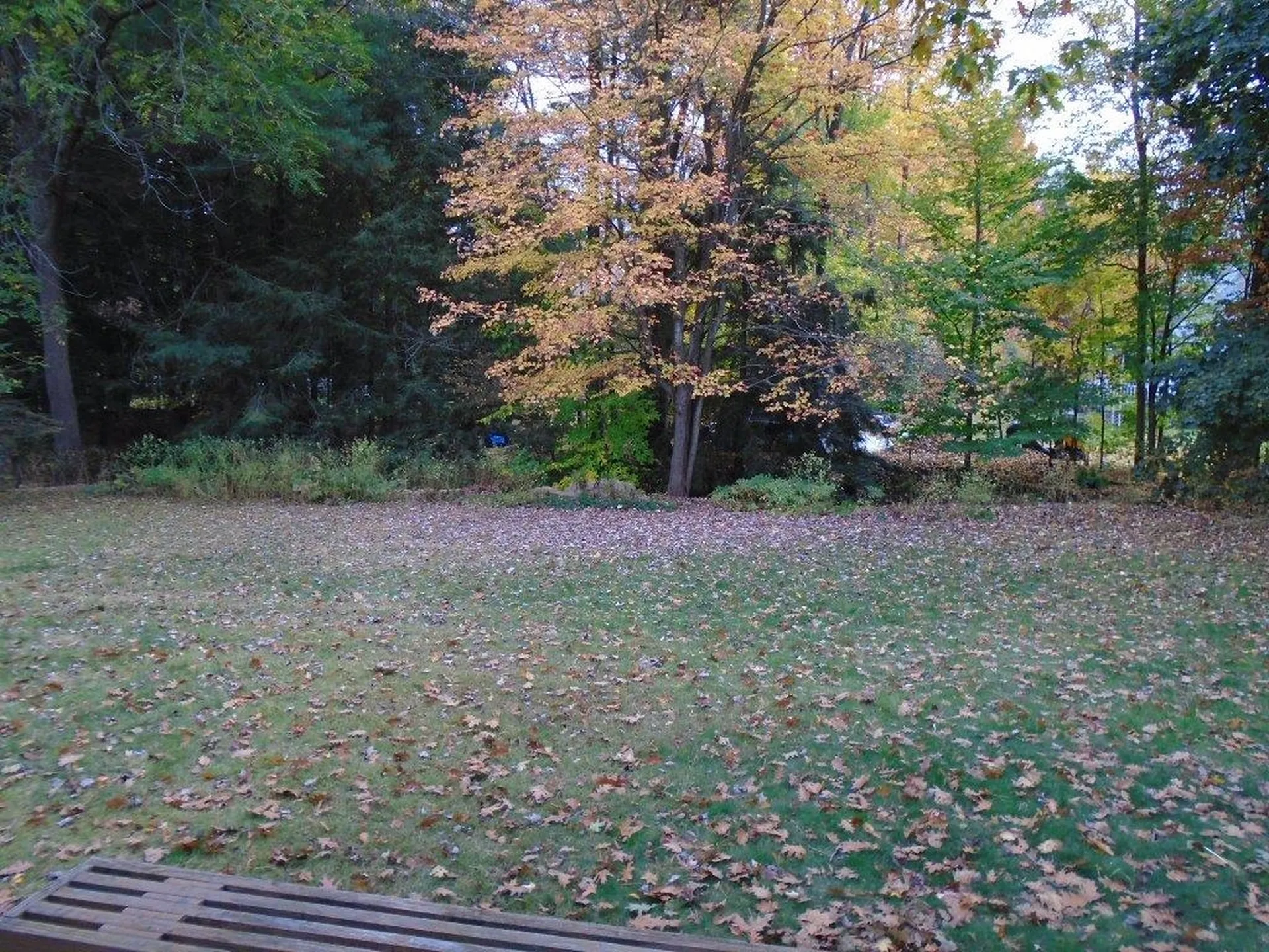 96 Richmond Drive Shelburne VT 05482