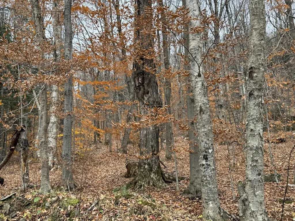 0 Hill West Road Montgomery VT 05471