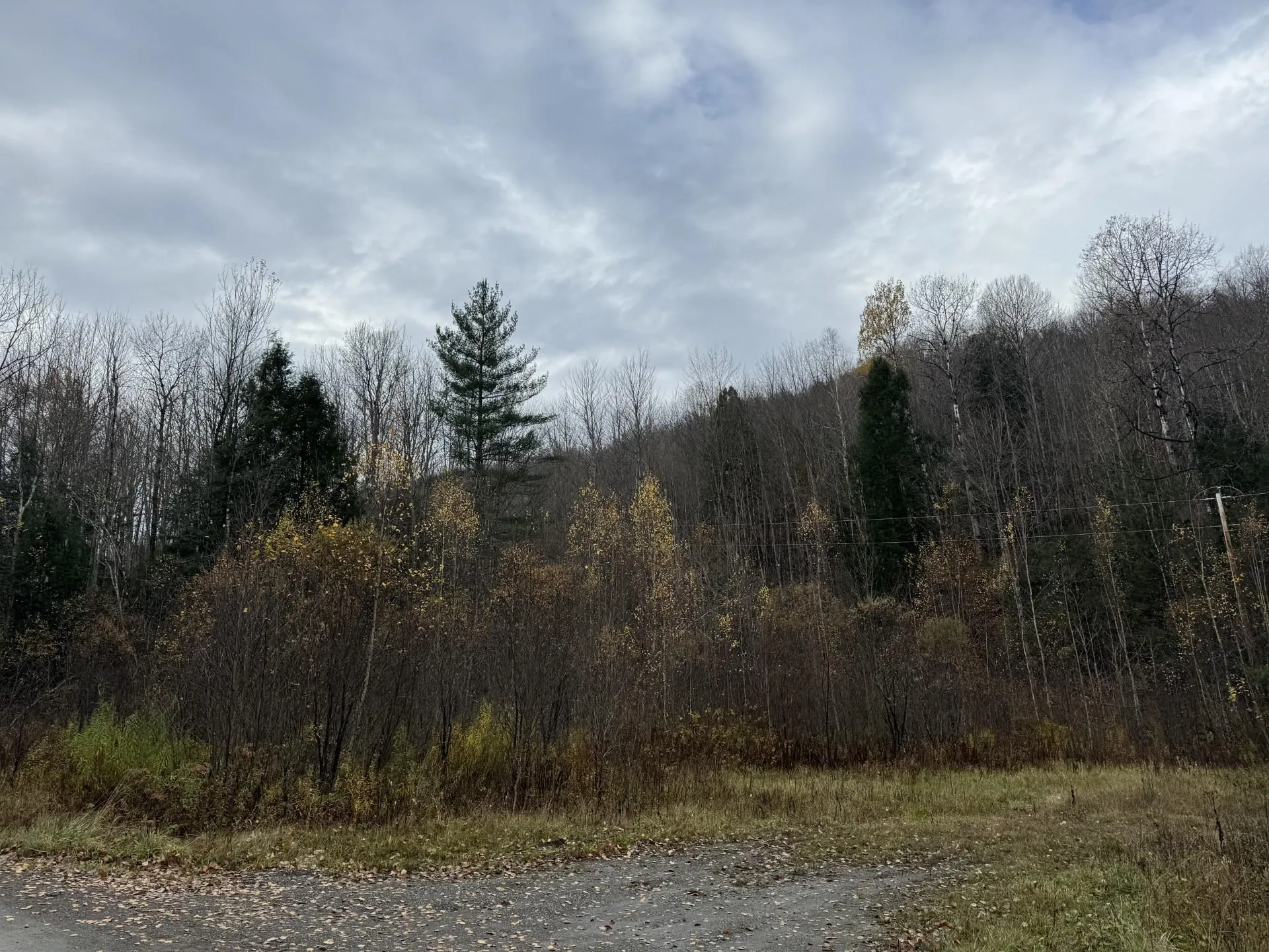 Montgomery VT, Hill West Road