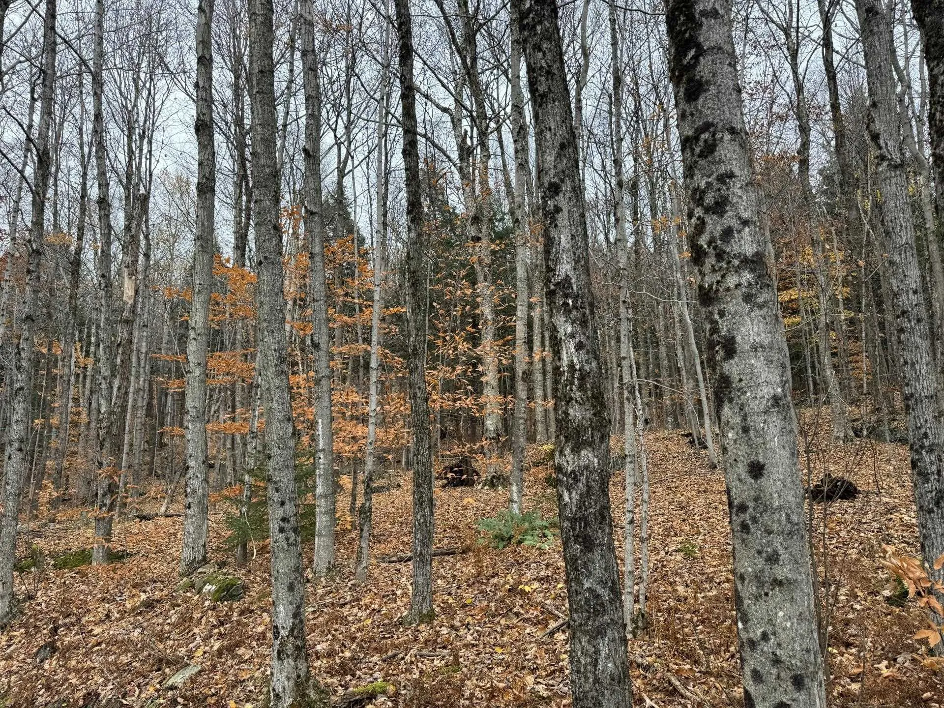 0 Hill West Road Montgomery VT 05471