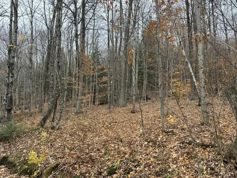 0 Hill West Road Montgomery VT 05471