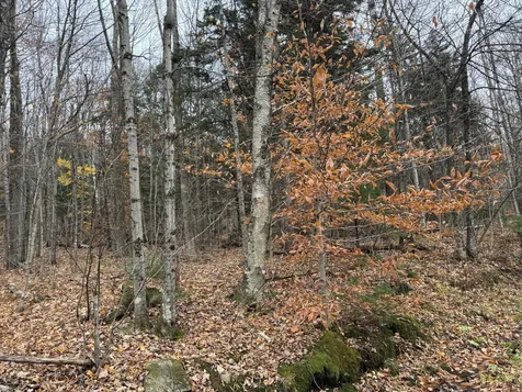 0 Hill West Road Montgomery VT 05471