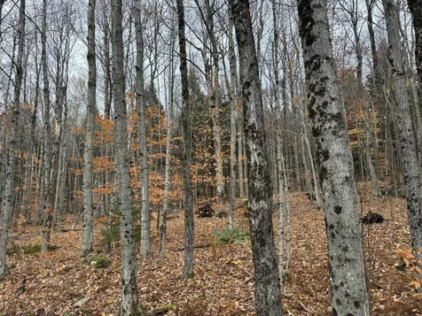 0 Hill West Road Montgomery VT 05471