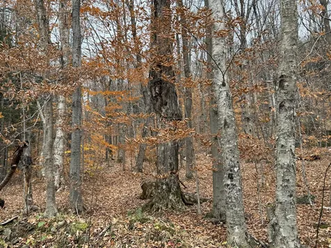 0 Hill West Road Montgomery VT 05471