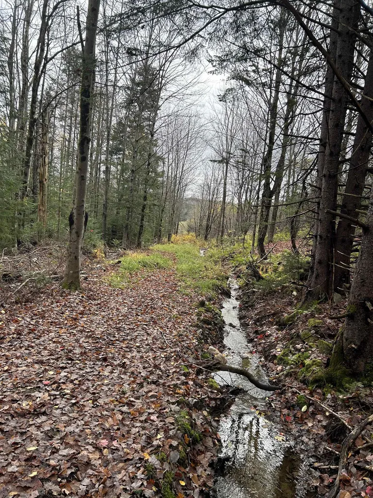 00 Gallop Pitch Road Wilmington VT 05363