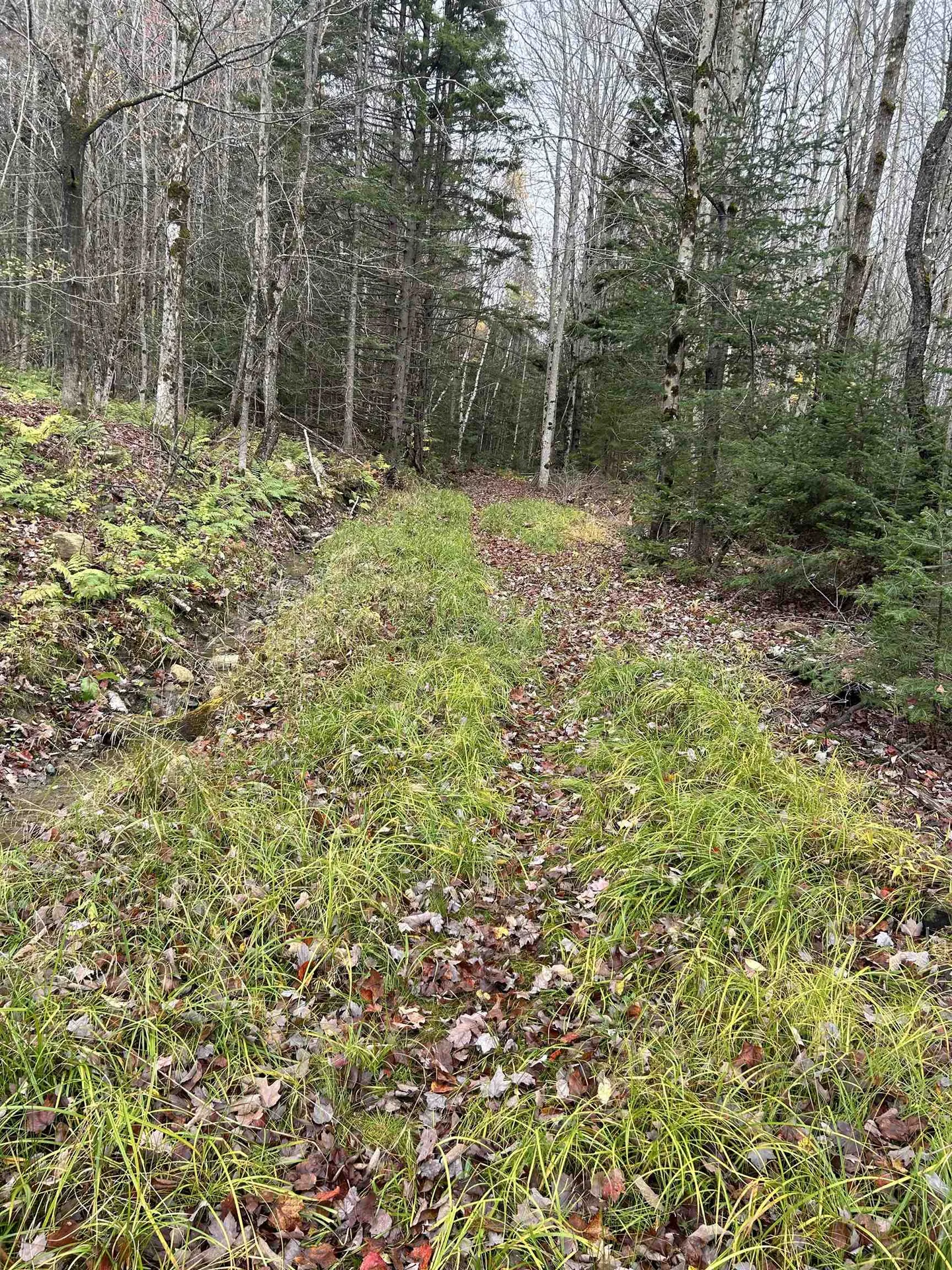 00 Gallop Pitch Road Wilmington VT 05363