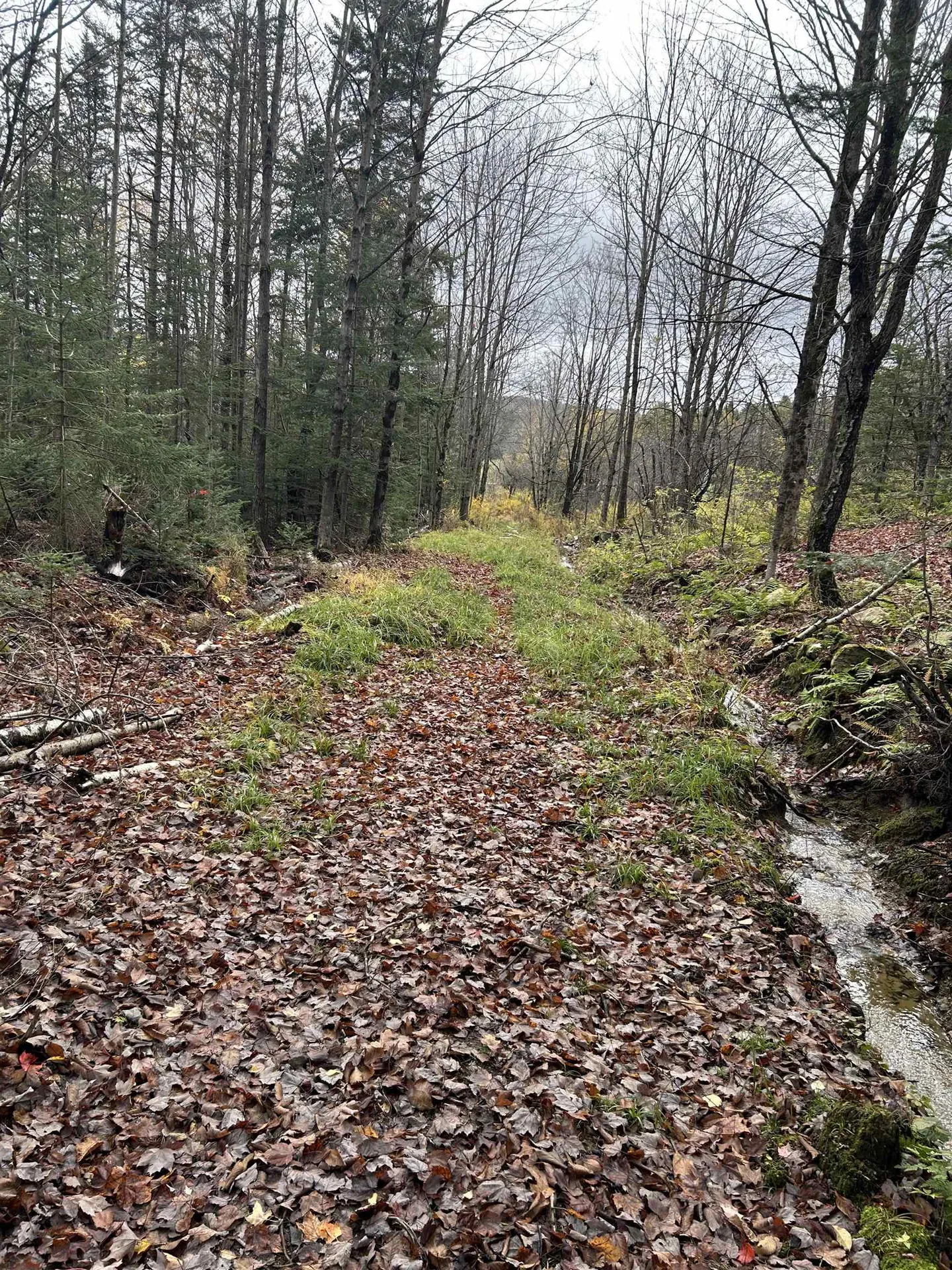 00 Gallop Pitch Road Wilmington VT 05363