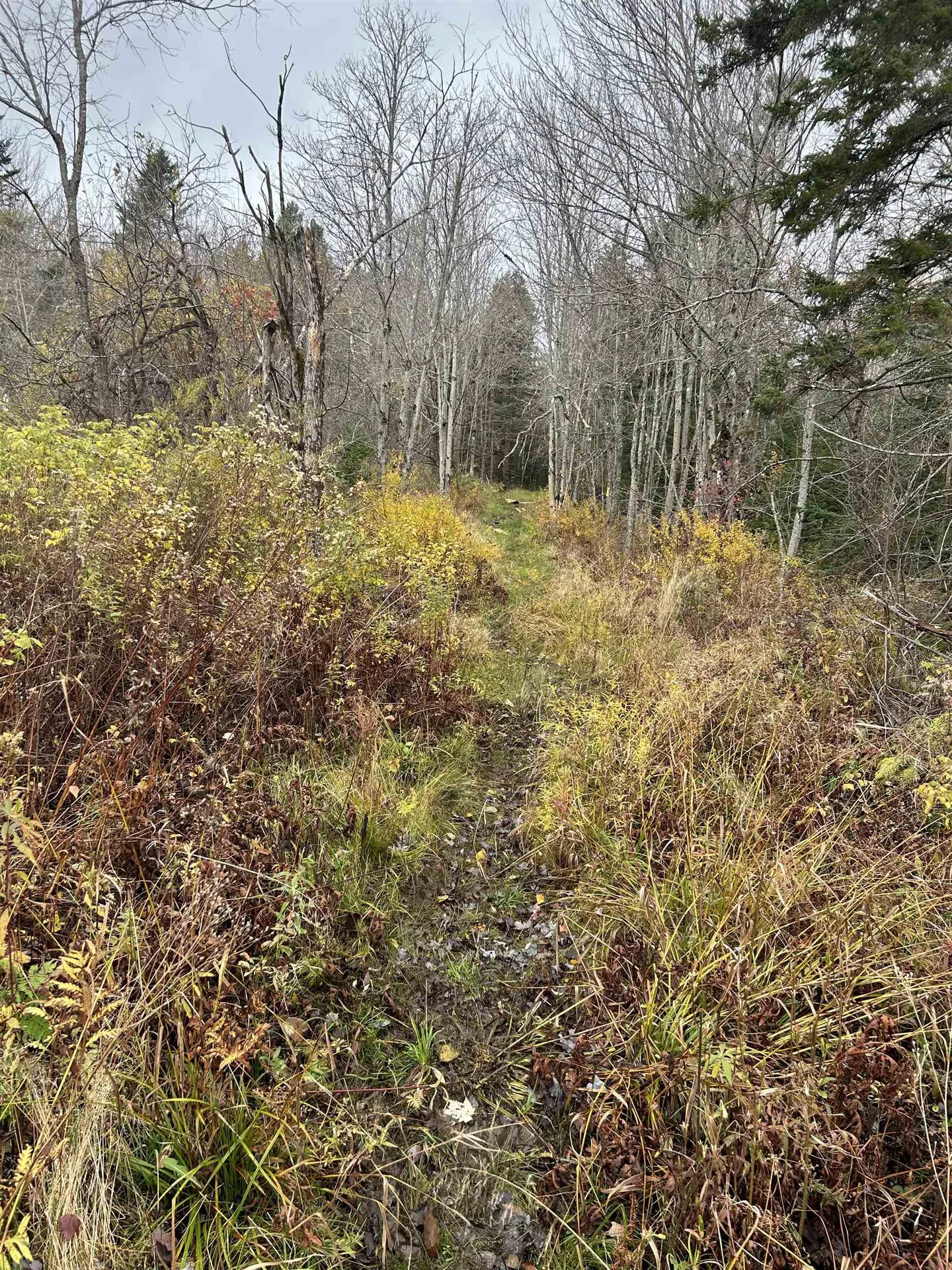 00 Gallop Pitch Road Wilmington VT 05363