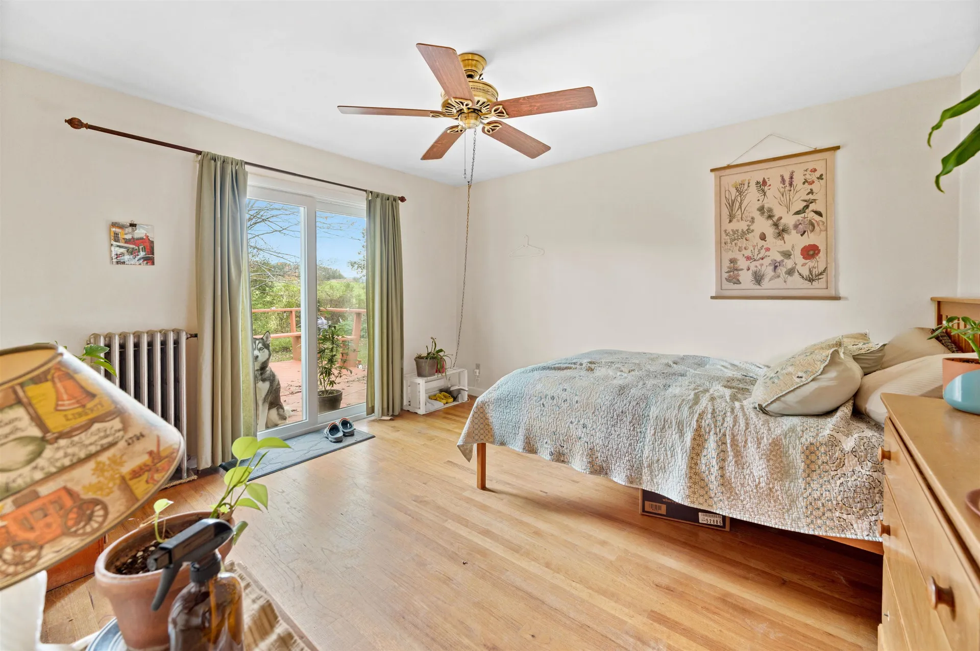29 Ridgewood Terrace Barre Town VT 05641