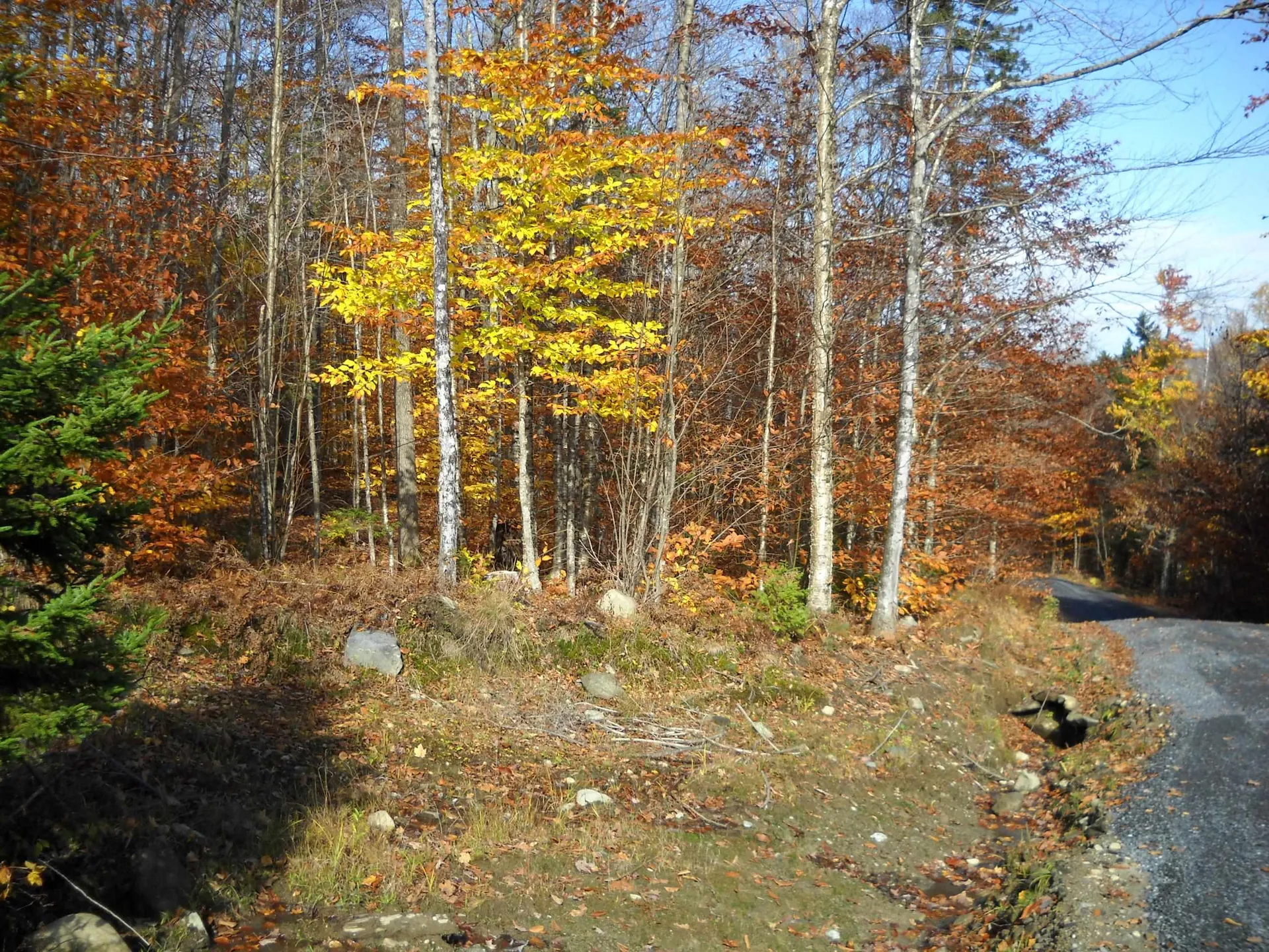 1179 Nh Route 25a Orford NH 03777