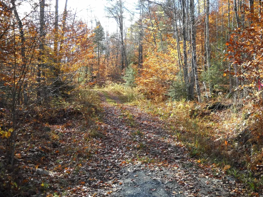 1179 Nh Route 25a Orford NH 03777