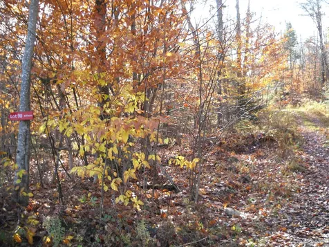 1179 Nh Route 25a Orford NH 03777