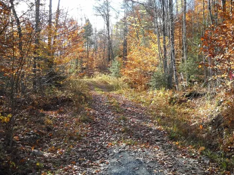 1179 Nh Route 25a Orford NH 03777