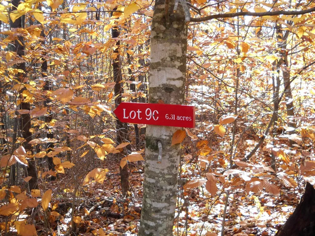 1179 Nh Route 25a Orford NH 03777