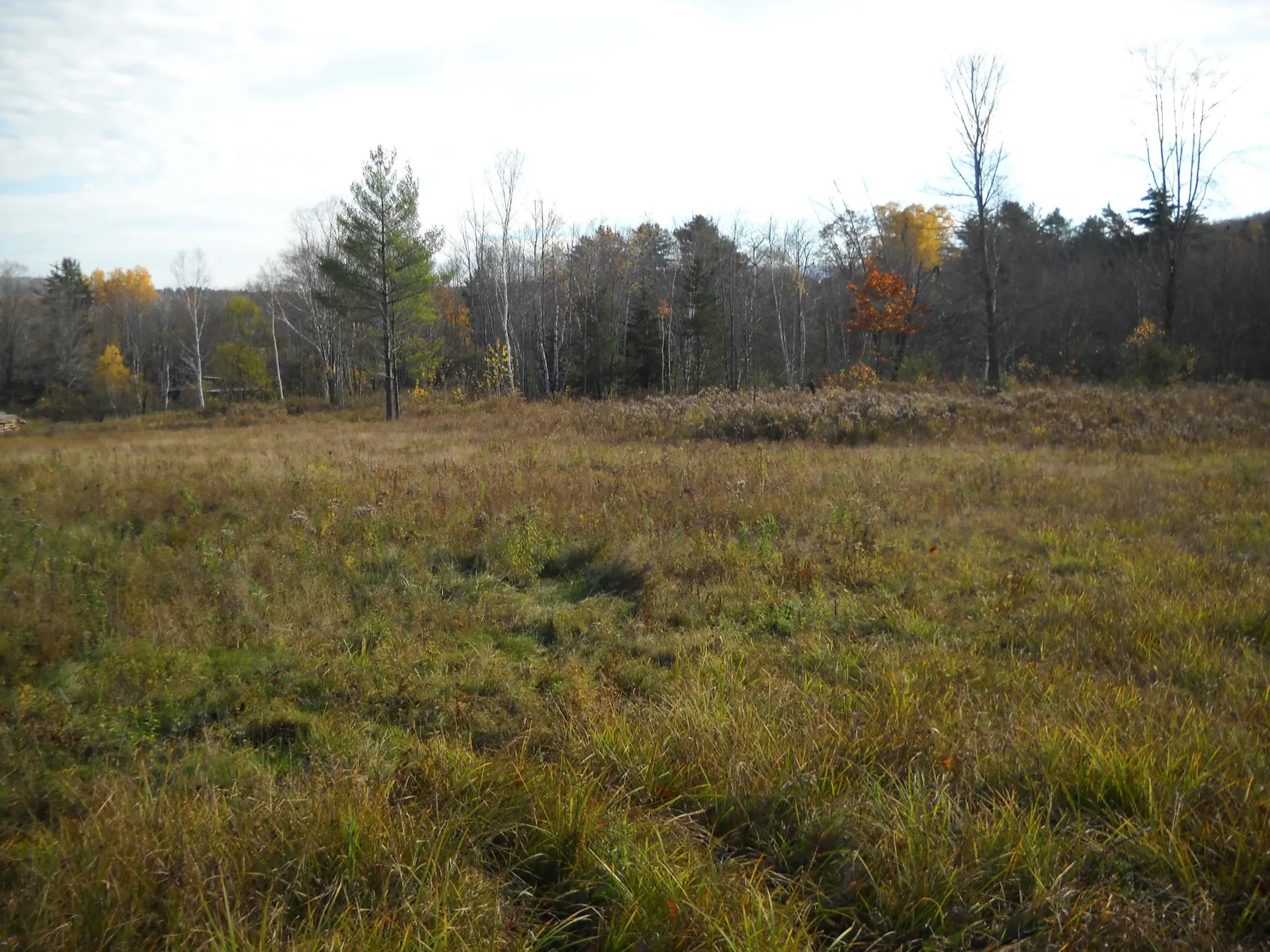 1179 Nh Route 25a Orford NH 03777