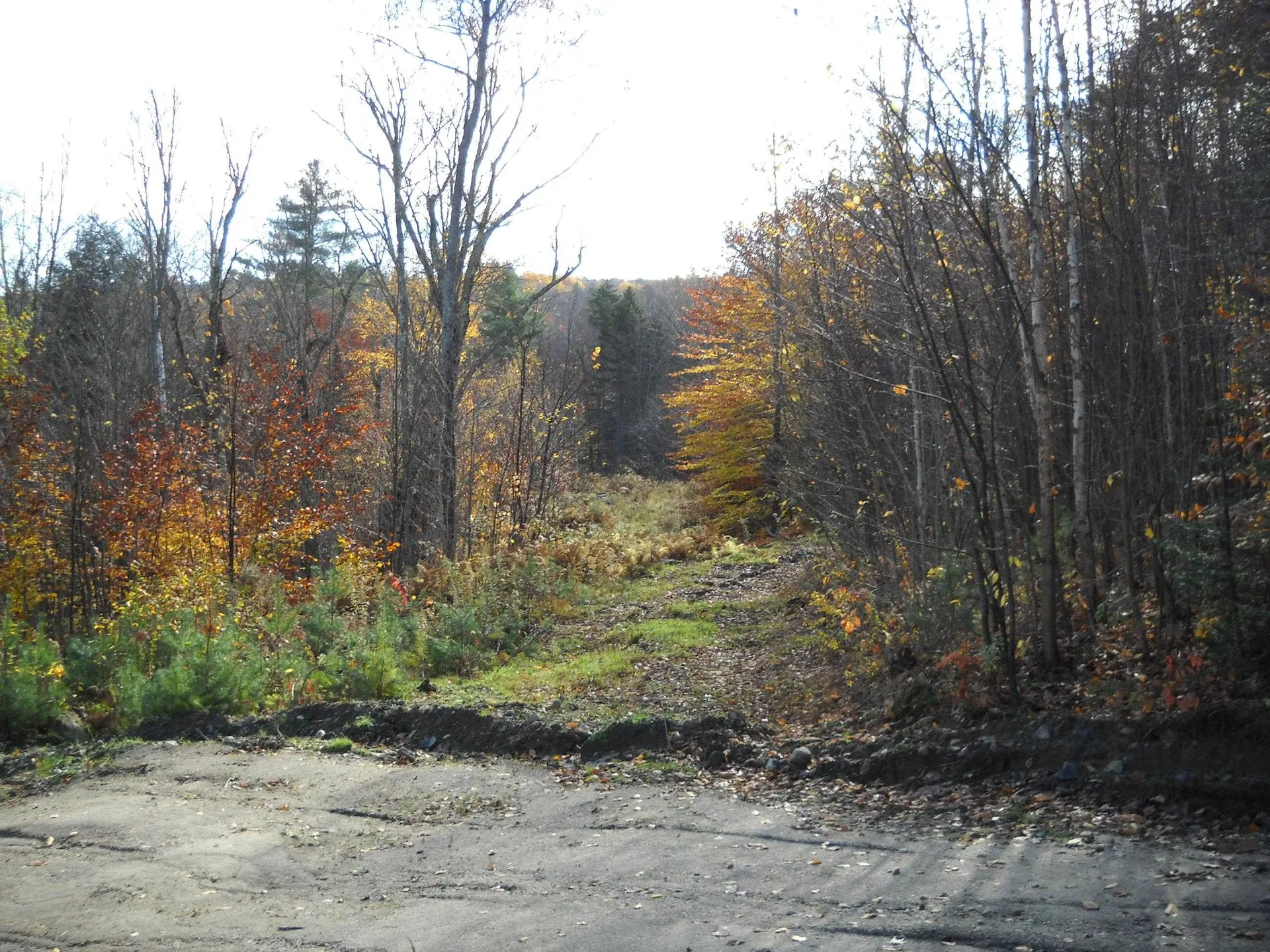 1179 Nh Route 25a Orford NH 03777