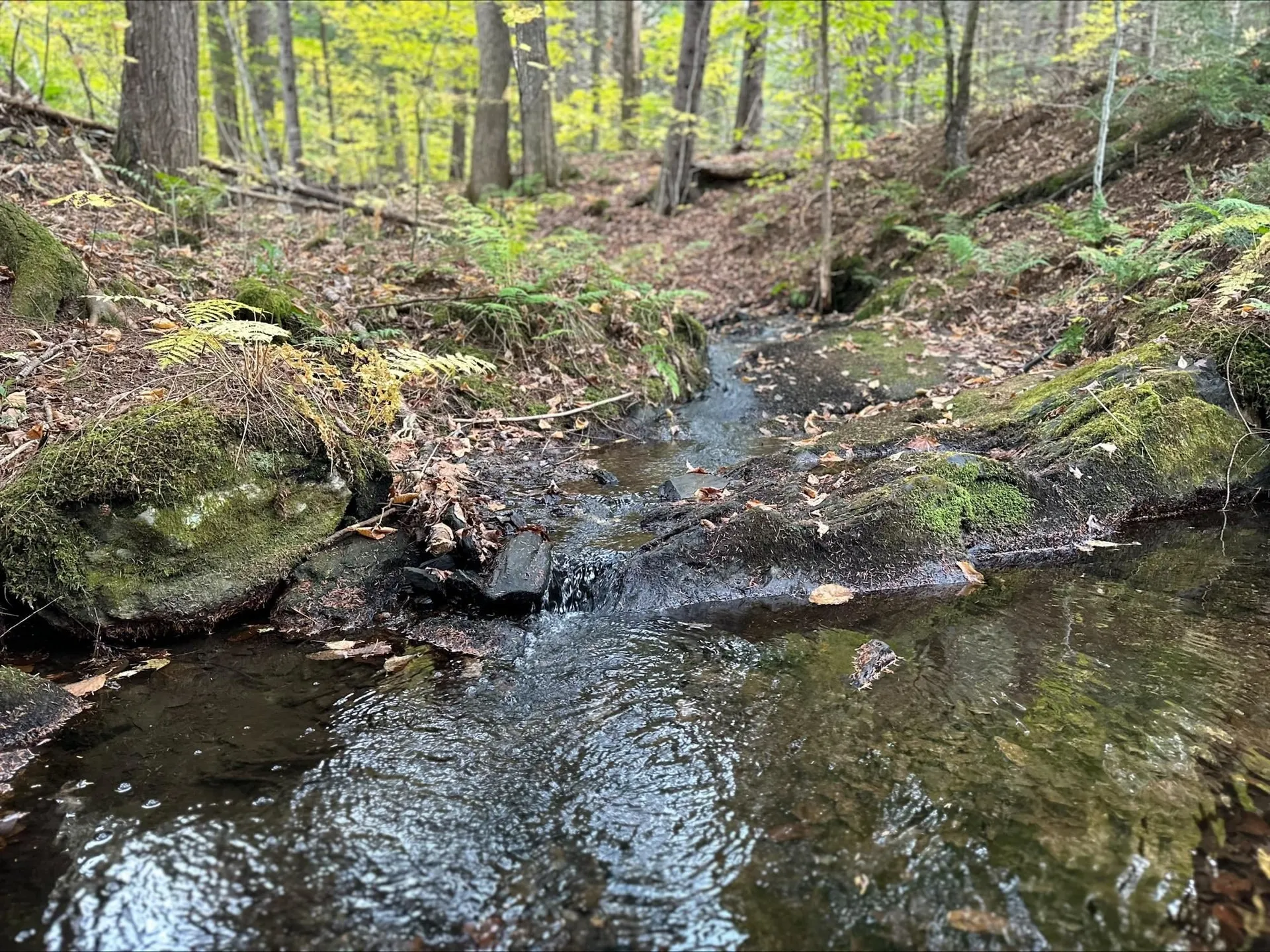 273 Comstock Drive Bethel VT 05032