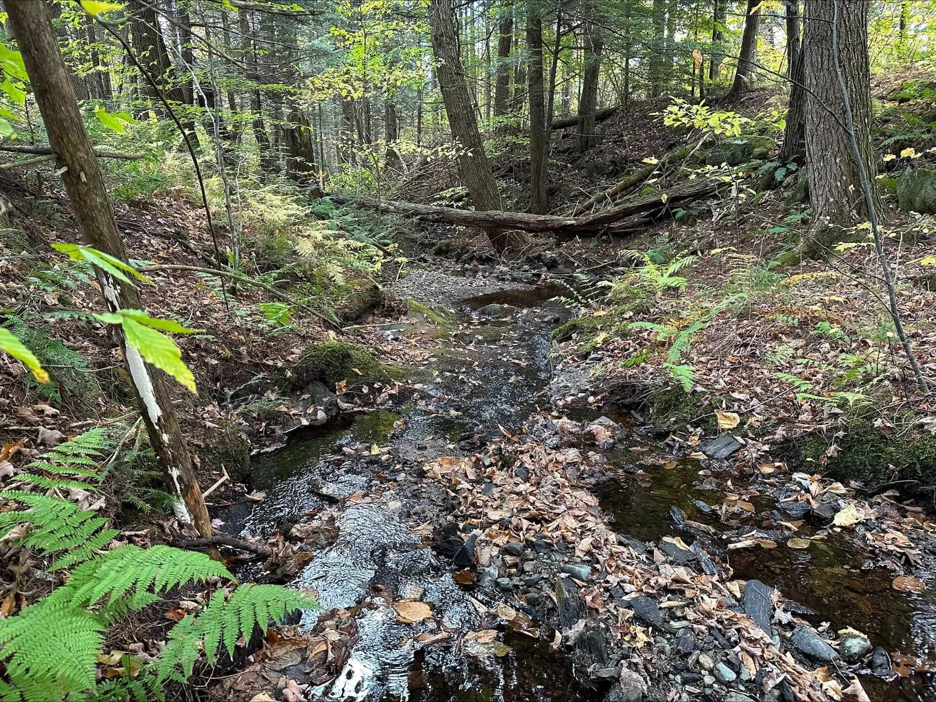 273 Comstock Drive Bethel VT 05032