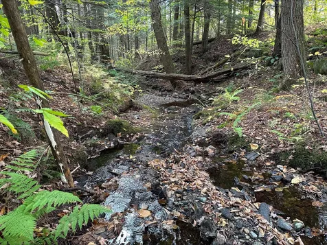 273 Comstock Drive Bethel VT 05032