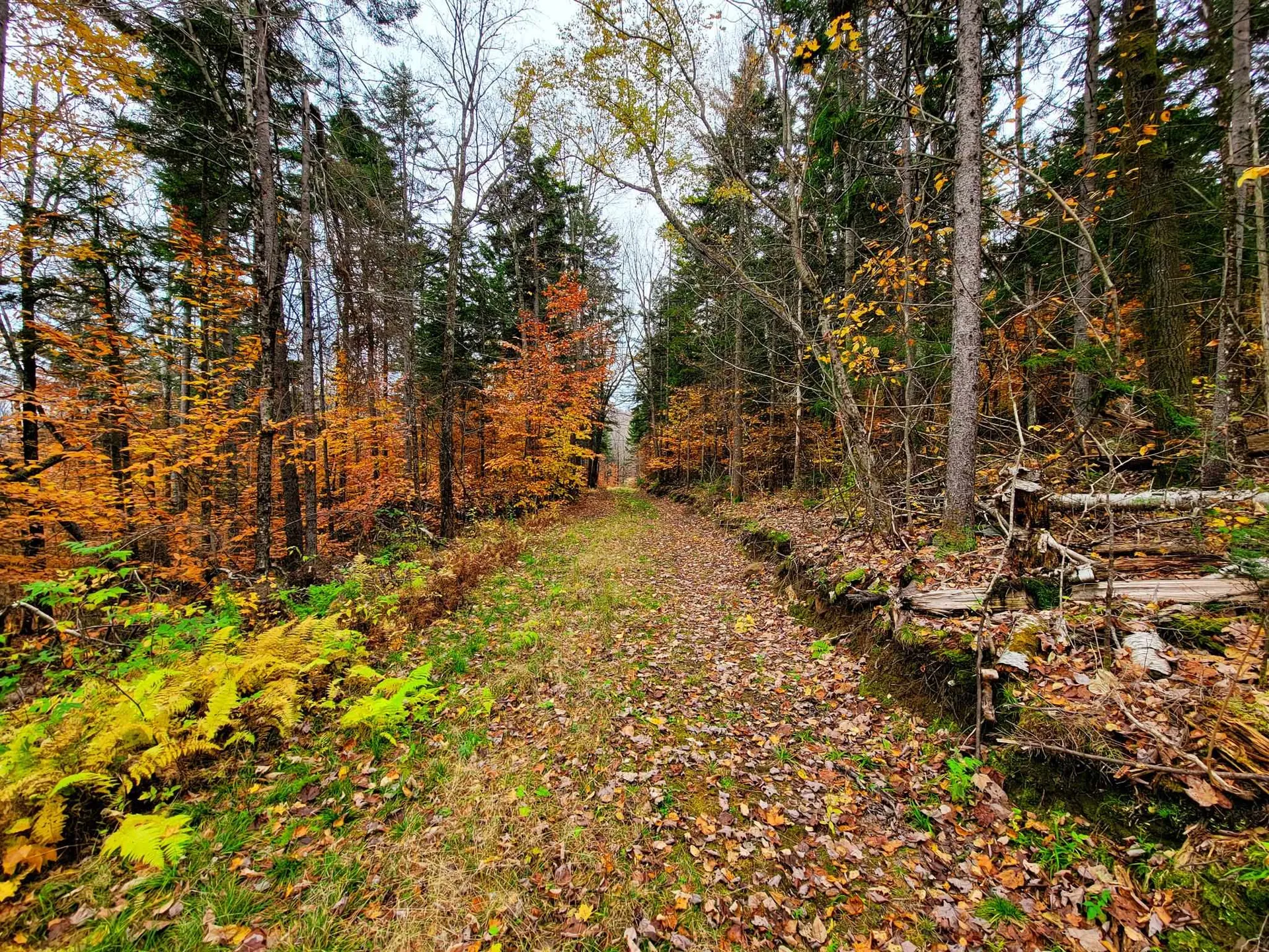 90 Greens Road Groton VT 05046