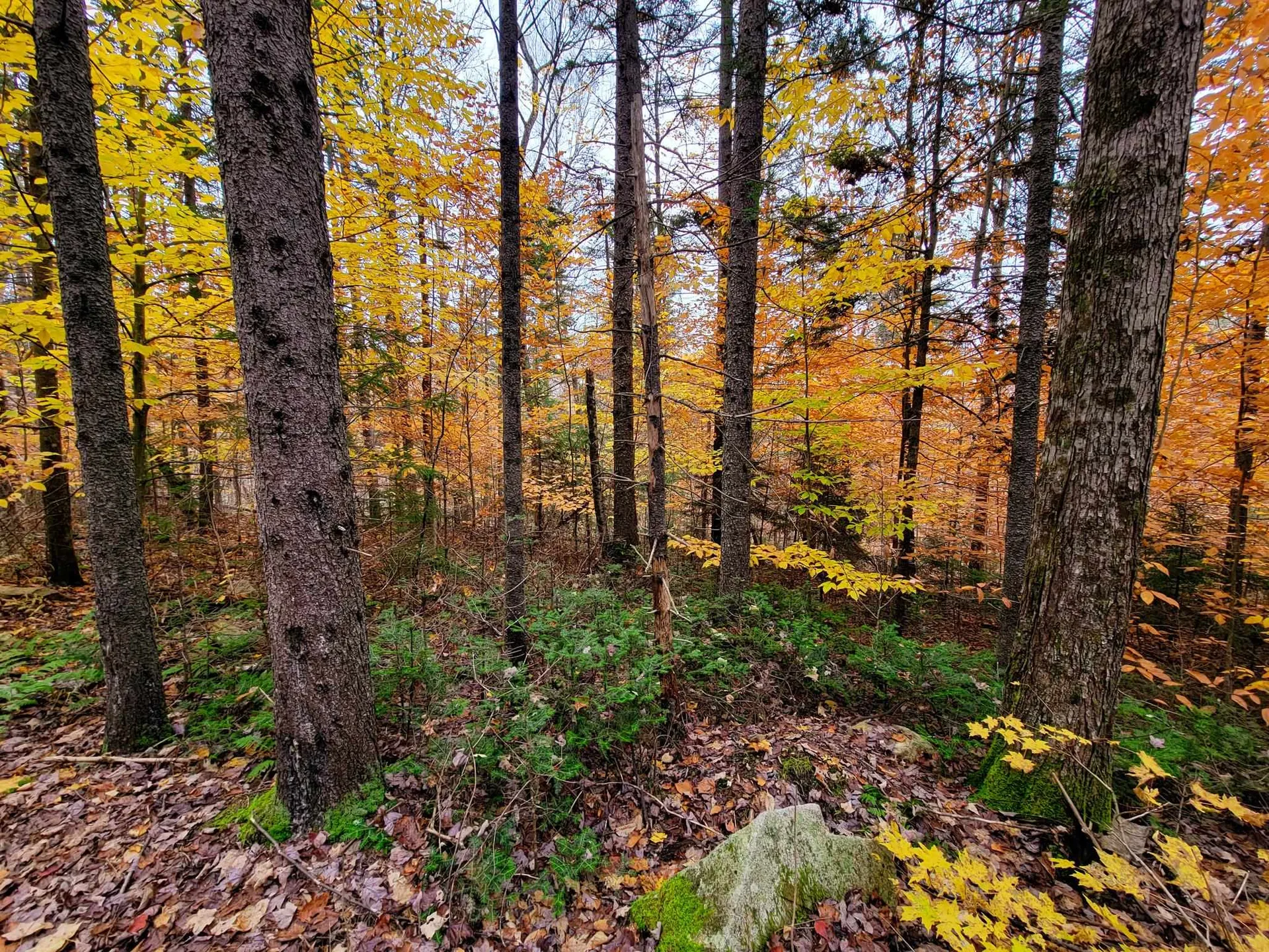 90 Greens Road Groton VT 05046