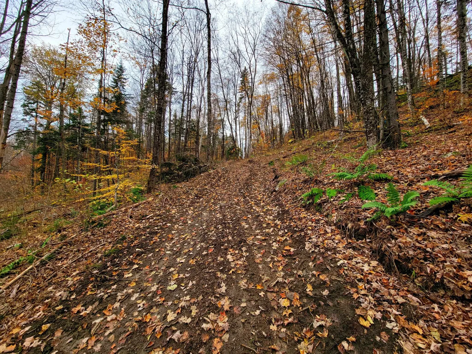 90 Greens Road Groton VT 05046