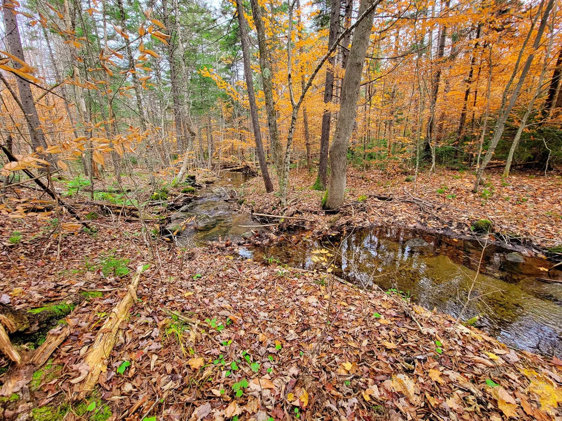 90 Greens Road Groton VT 05046