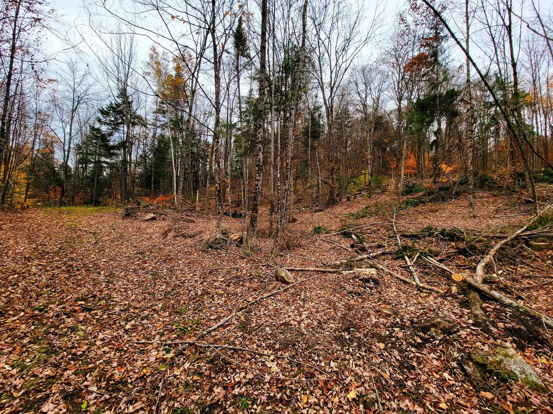 90 Greens Road Groton VT 05046