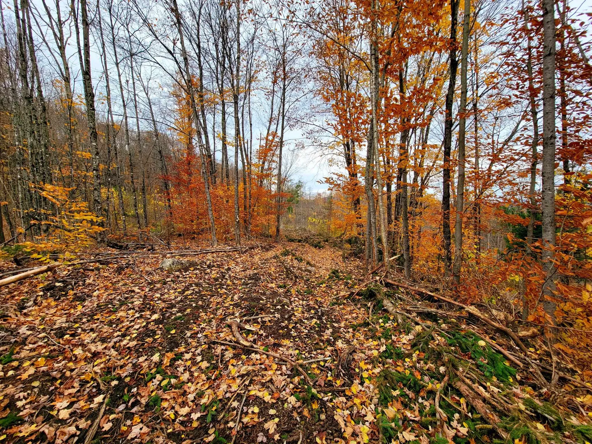 90 Greens Road Groton VT 05046