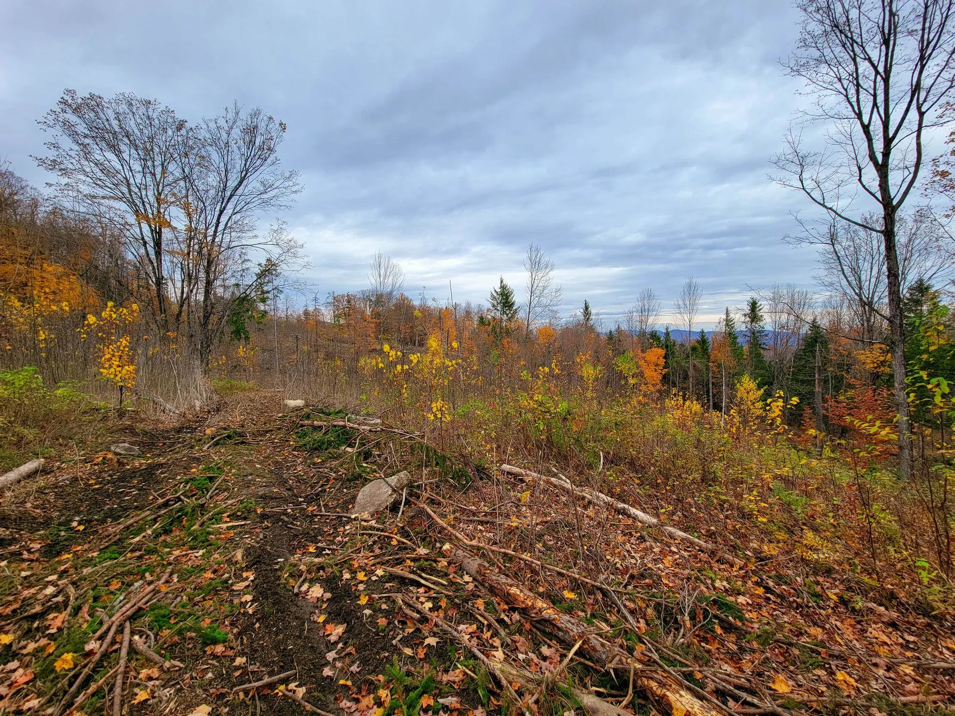90 Greens Road Groton VT 05046