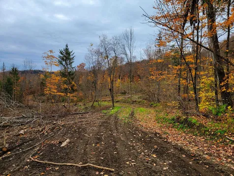 90 Greens Road Groton VT 05046